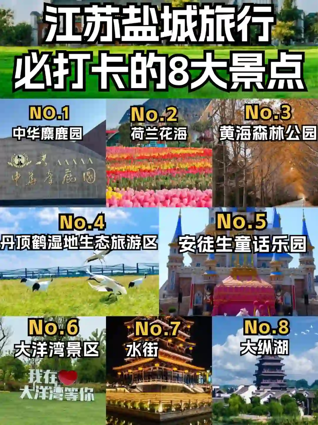 📍江苏盐城8大必打卡景点，不容错过！