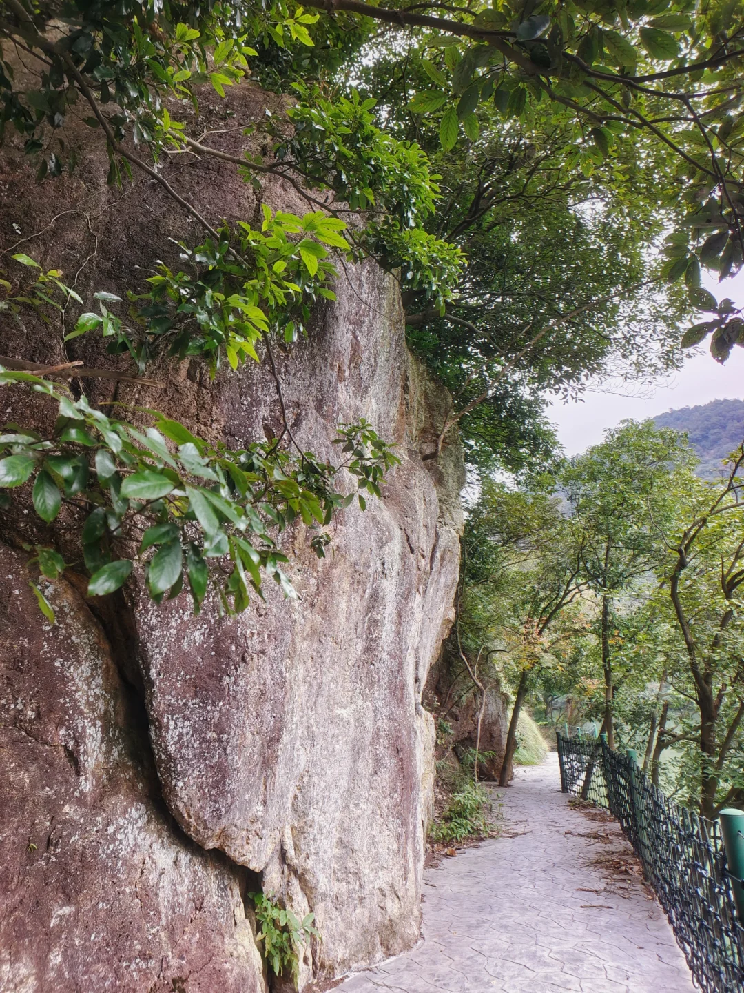 富春江桐庐严陵坞到建德葫芦湾绝美绿道