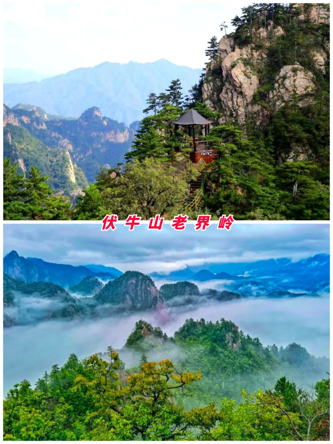 河南旅游第16站 | 南阳最值得去的9个景点‼