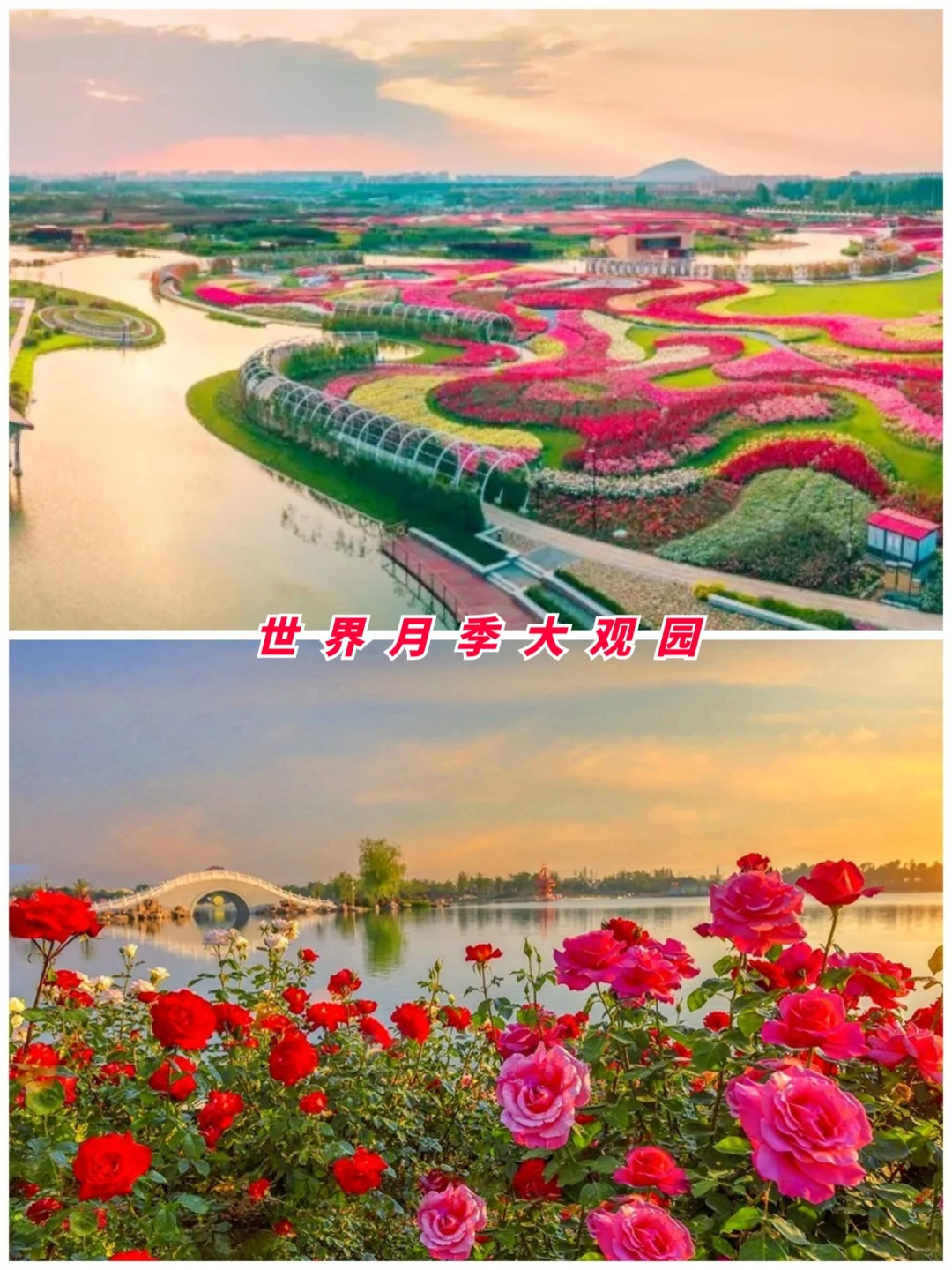 河南旅游第16站 | 南阳最值得去的9个景点‼