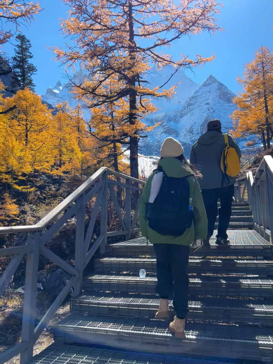 10.27稻城亚丁的秋日画布让人心醉🏔️