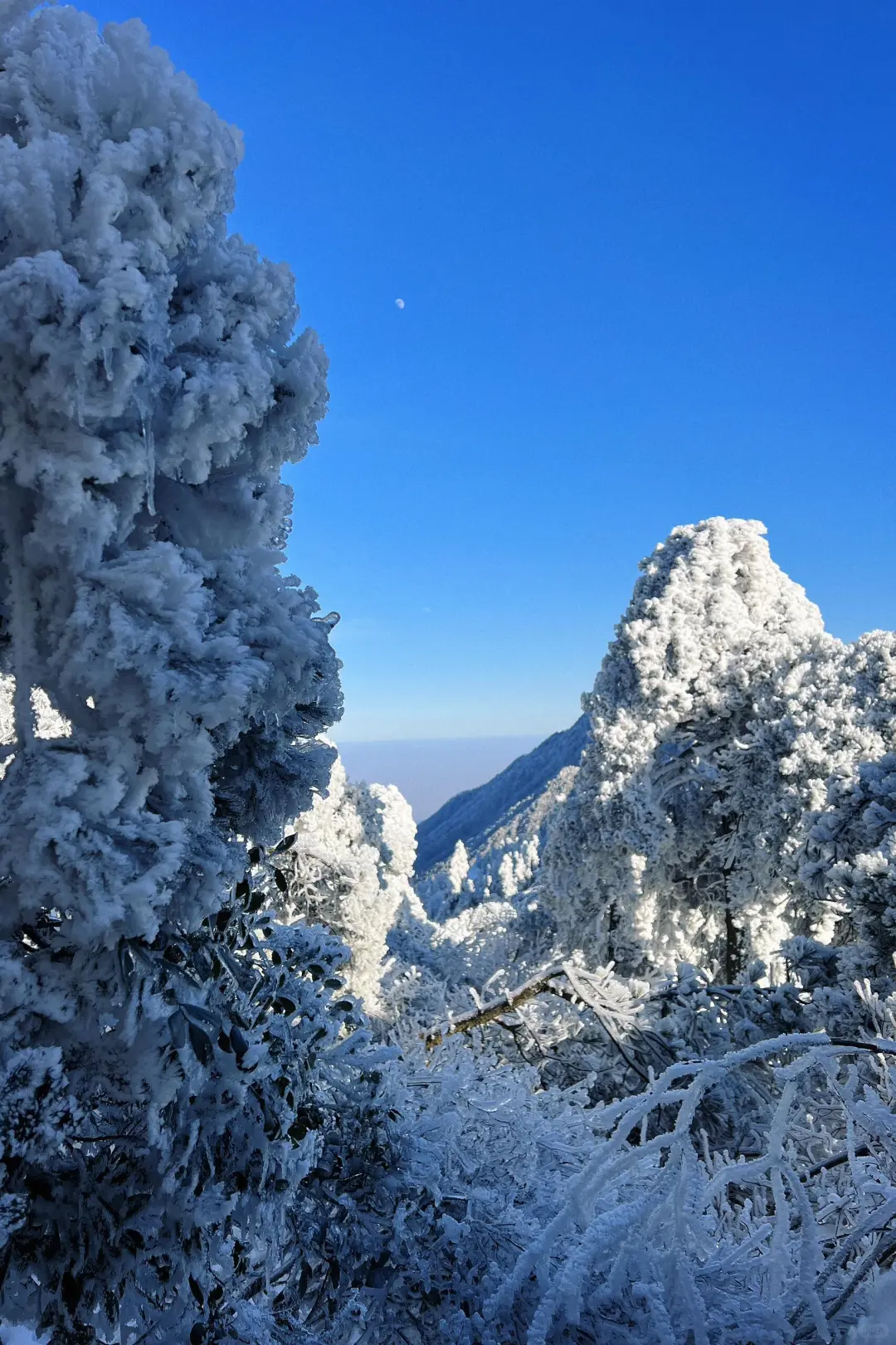 写给11-12月去庐山的姐妹👭超全避雷！！