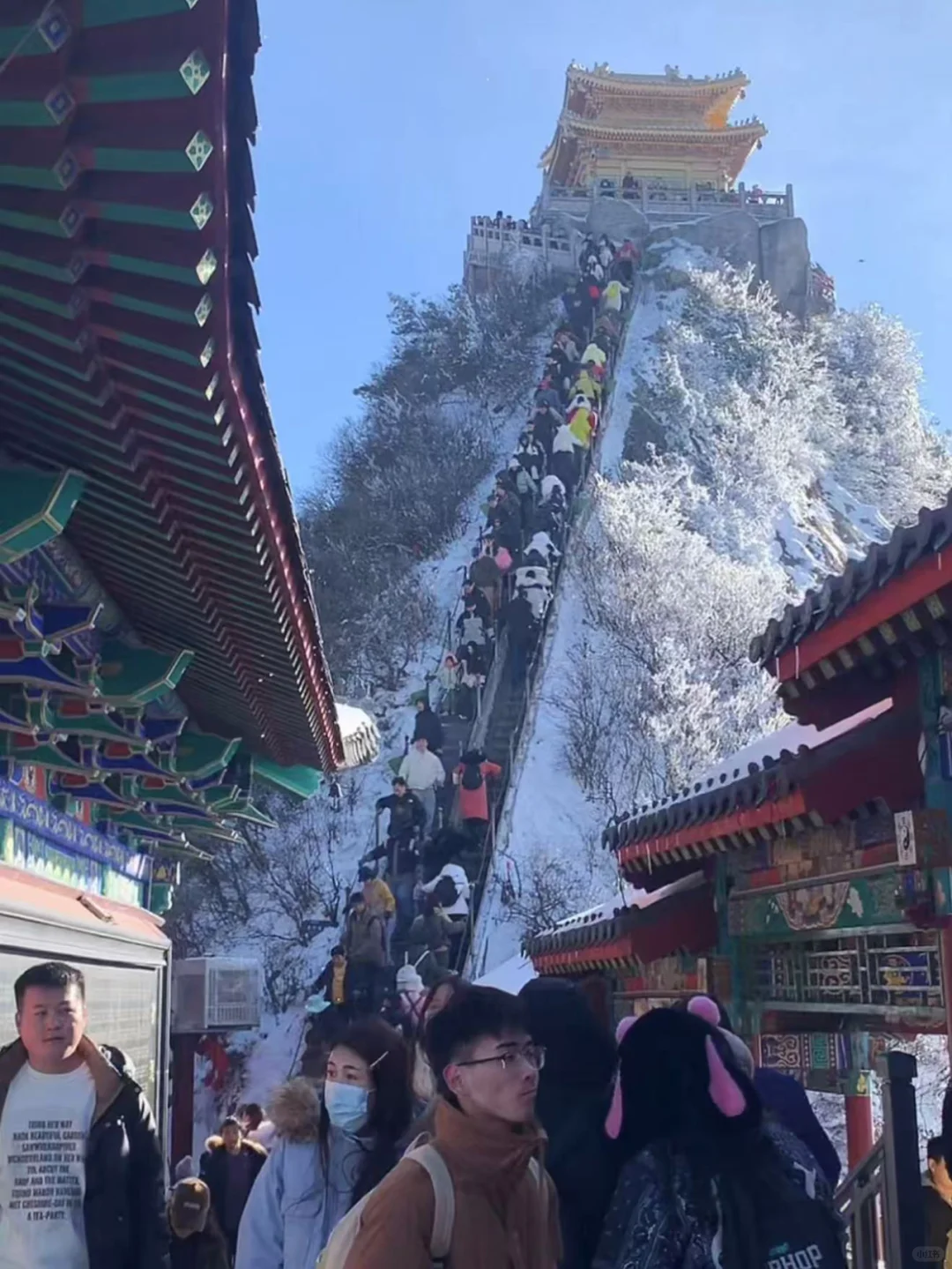 11.21老君山实况 景区爆满 下次降雪时间