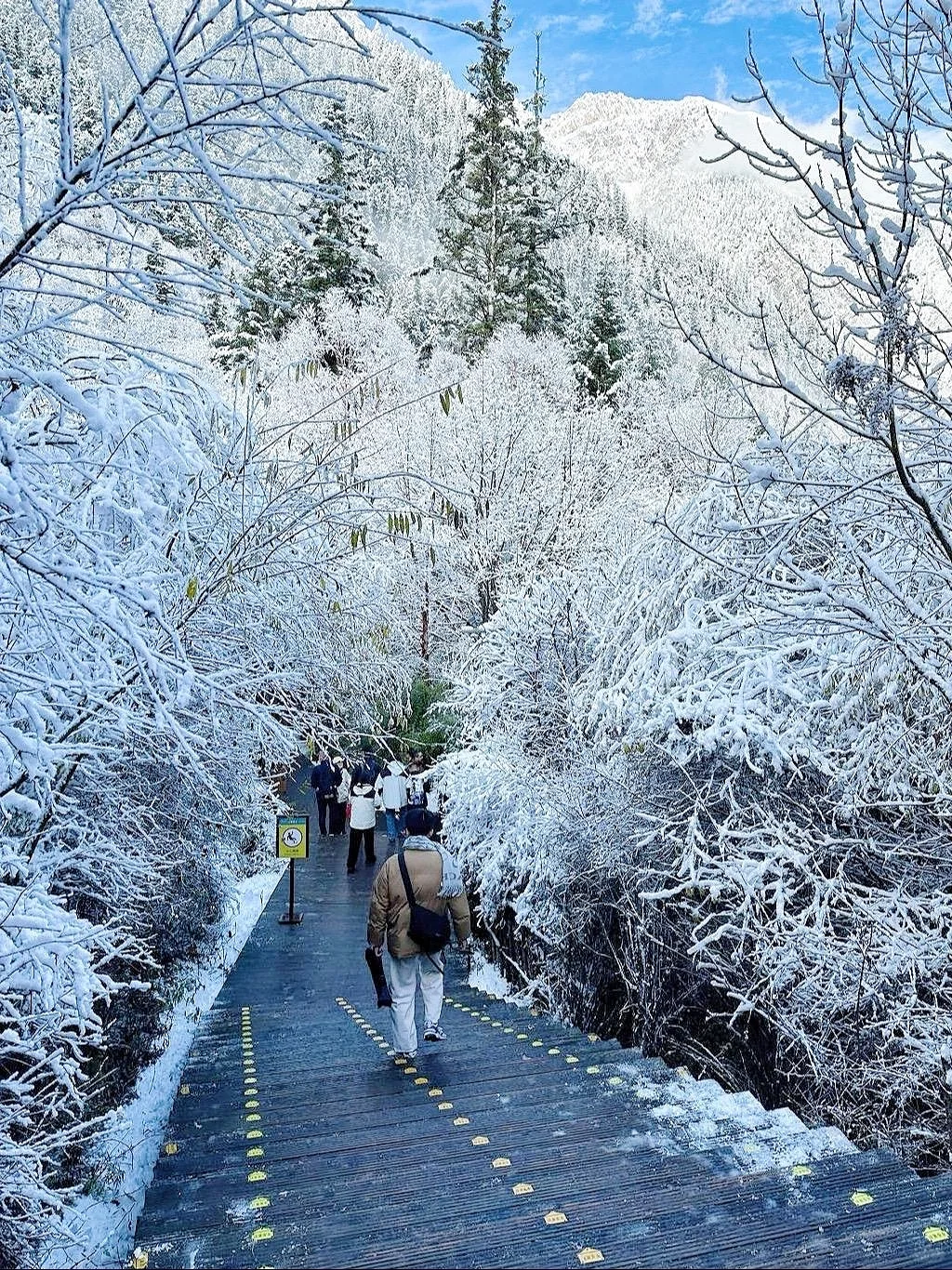 11.25📍九寨沟豪赌成功！简直不要太美了