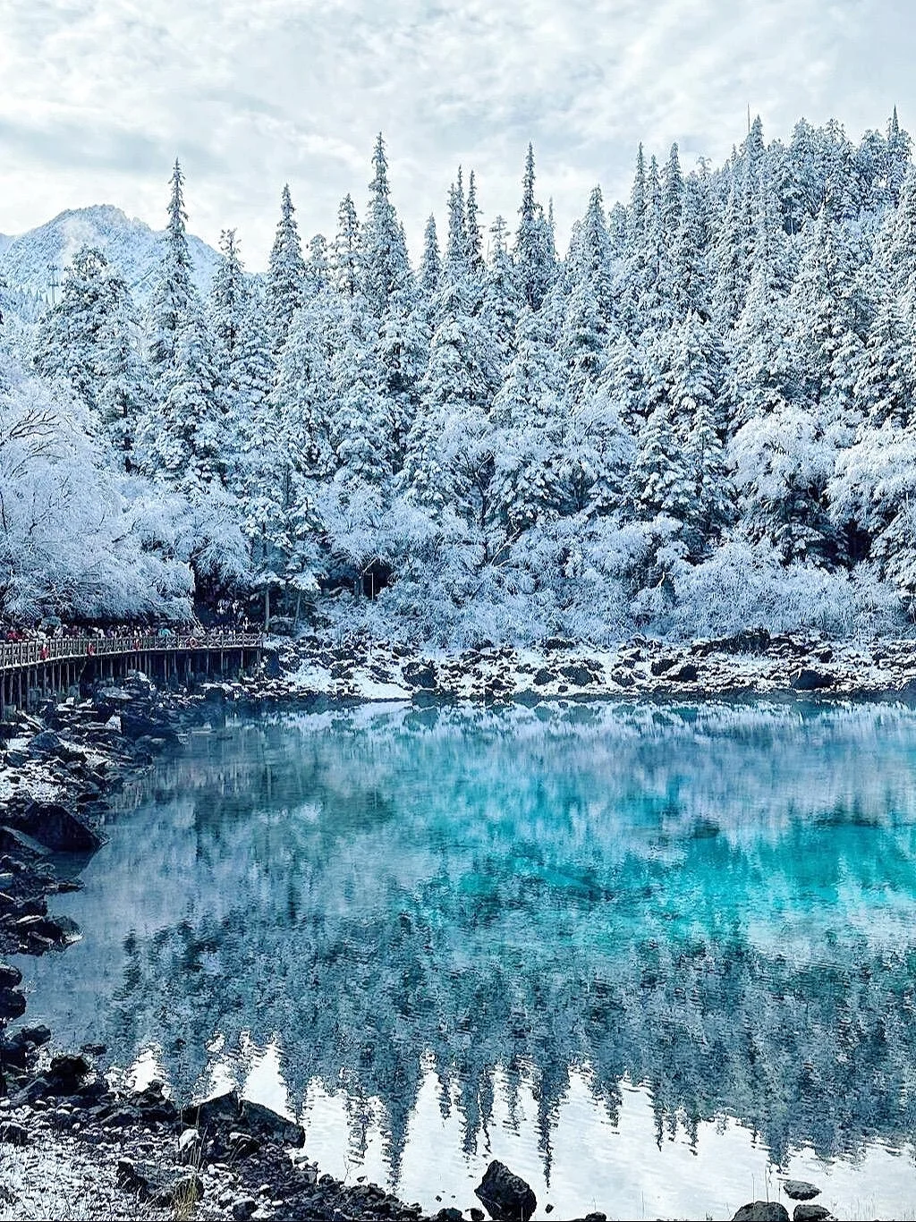 11.25📍九寨沟豪赌成功！简直不要太美了