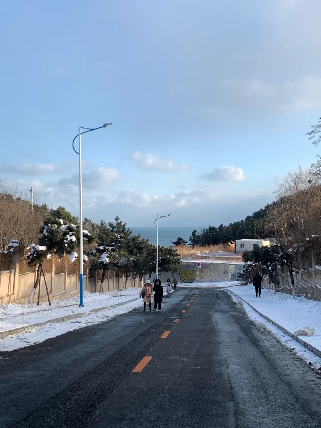 有雪有海的城市真的太美了😭