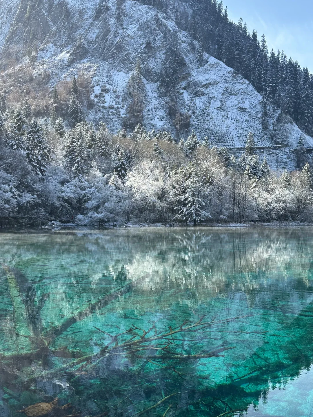 强烈推荐12月后的九寨沟，雪景+半价+人少