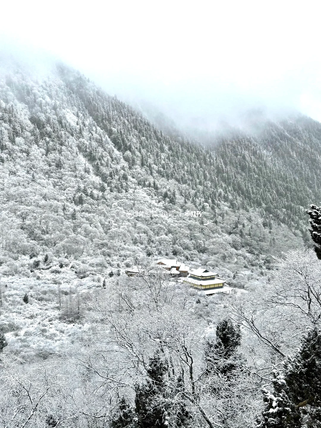 11.18九寨沟现状！！九寨沟的雪景太美了