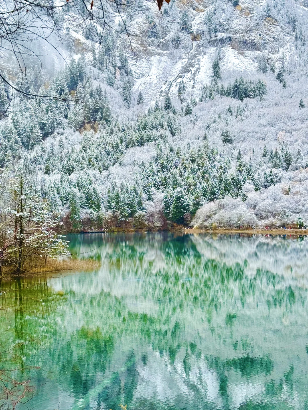 live❄️雪后的九寨沟❄️美的像是童话世界！！！！