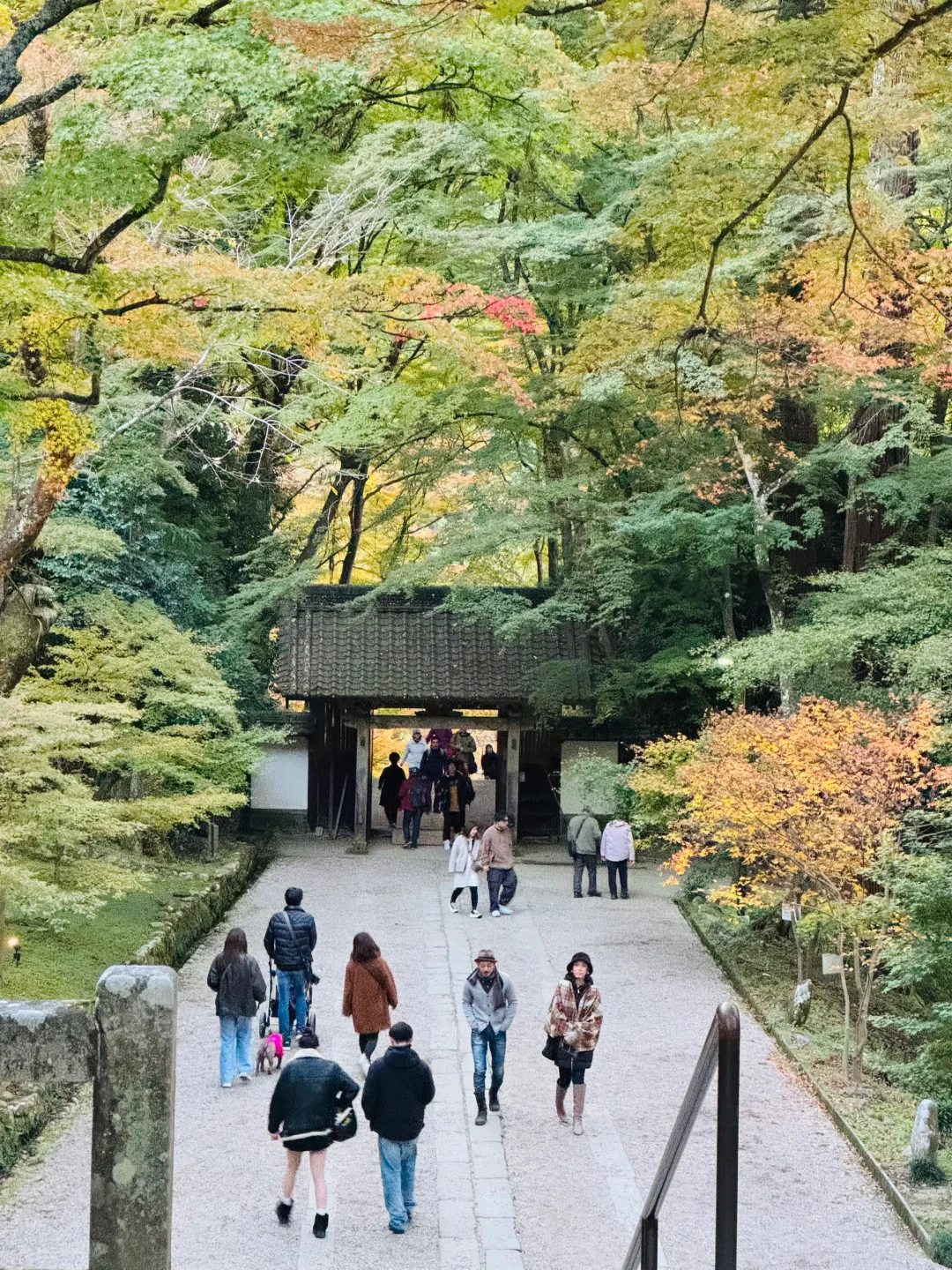 名古屋的秋意正撩人🍁✨