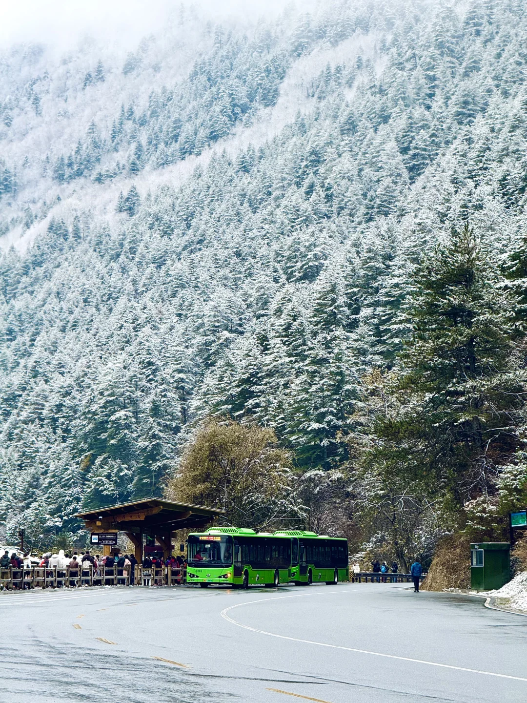 live❄️雪后的九寨沟❄️美的像是童话世界！！！！