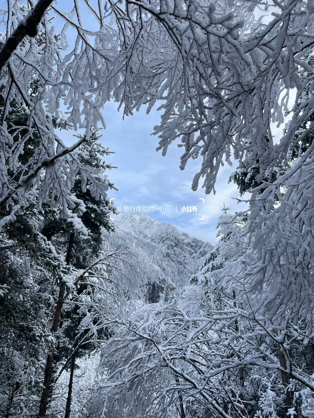 11.18九寨沟现状！！九寨沟的雪景太美了