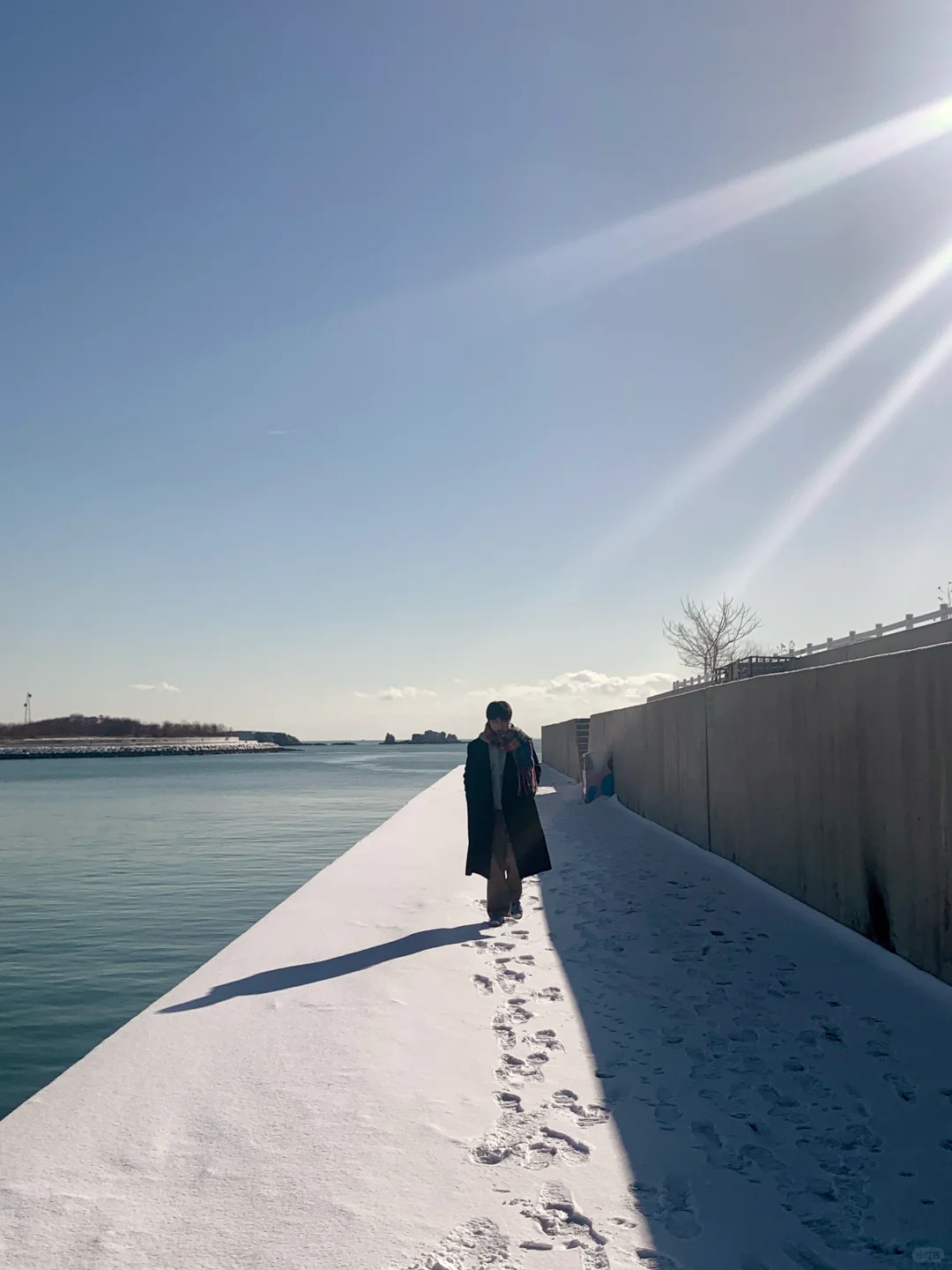 有雪有海的城市真的太美了😭