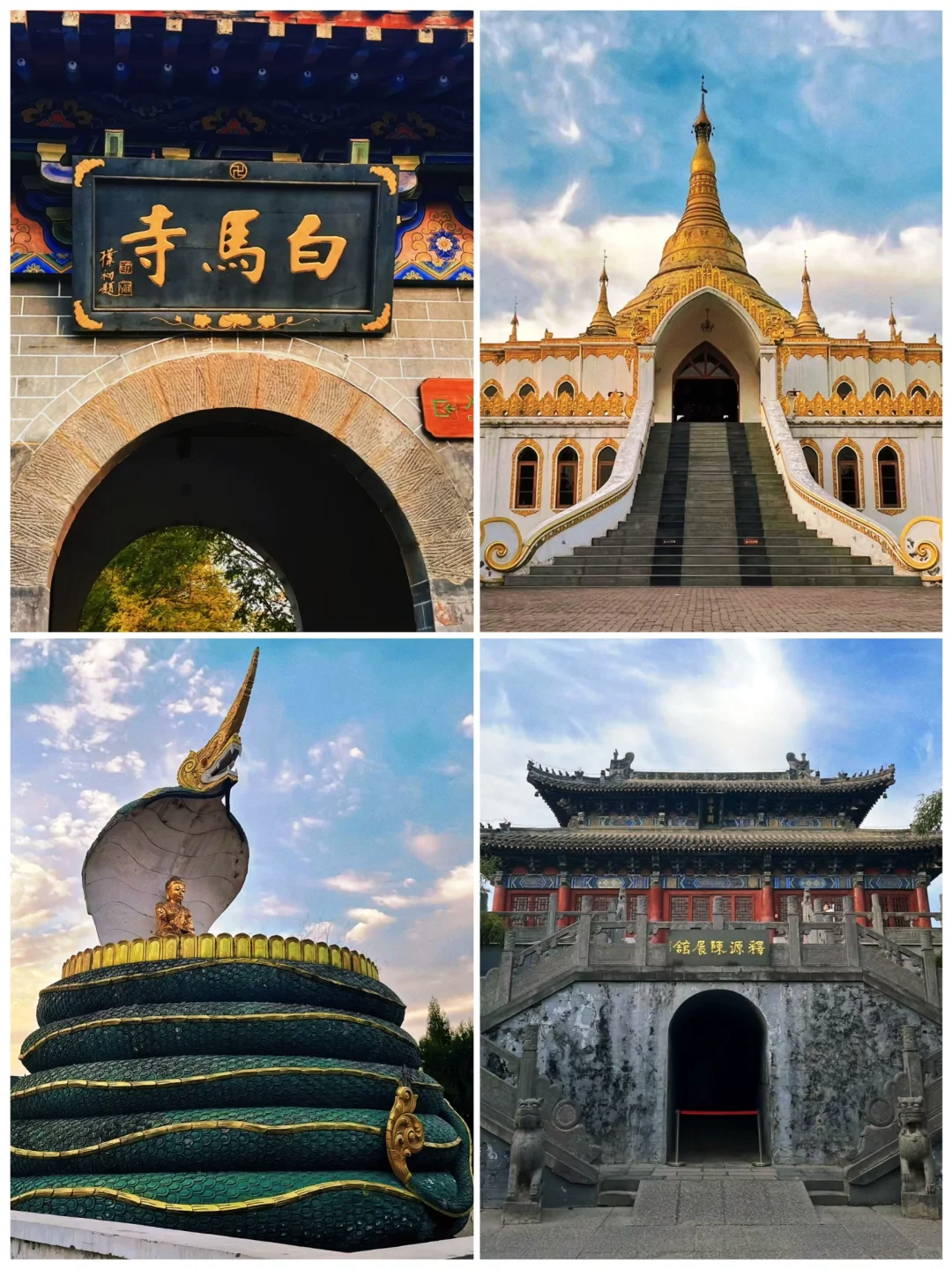 📍河南旅游｜洛阳必打卡的八个景点‼️