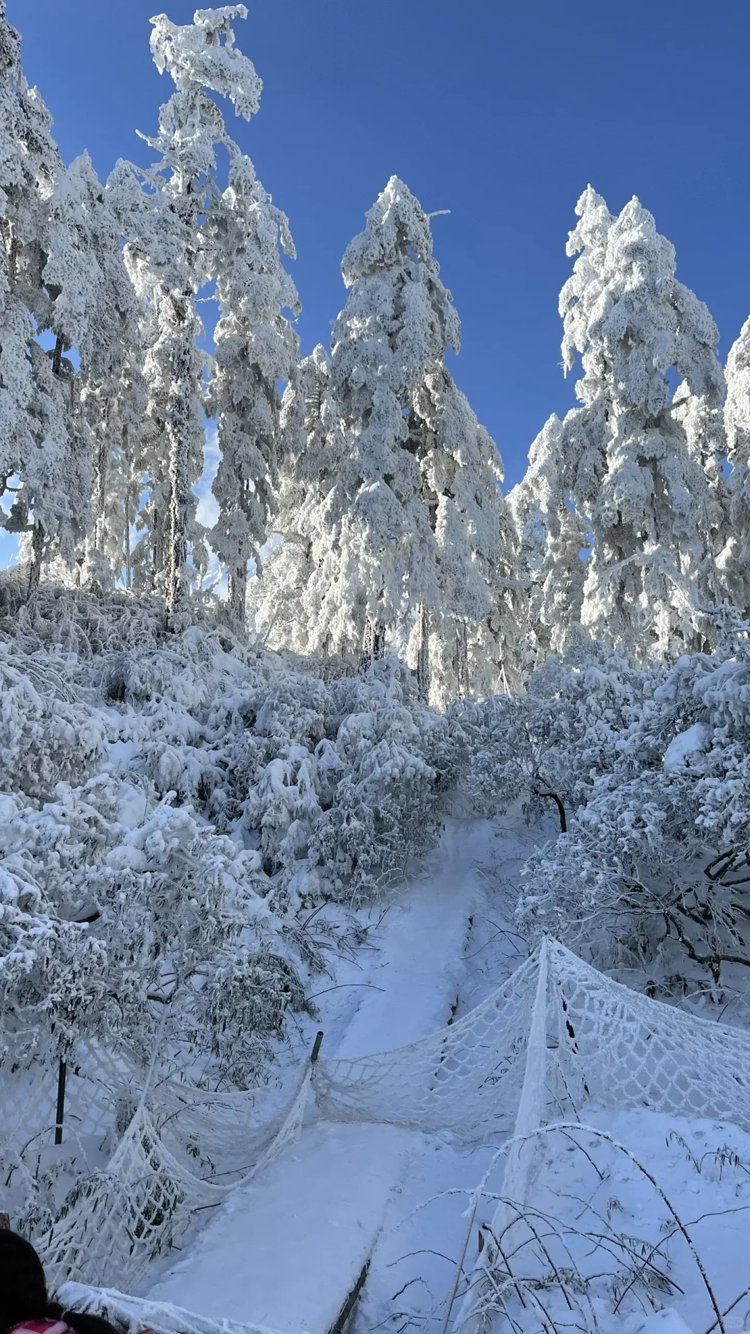 瓦屋山现状，宝子们可以冲起来了！