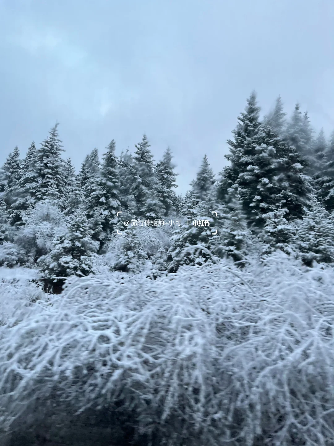 11.18九寨沟现状！！九寨沟的雪景太美了