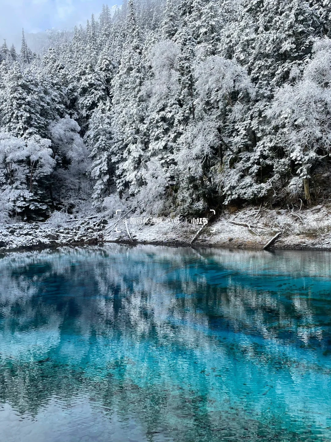 11.18九寨沟现状！！九寨沟的雪景太美了