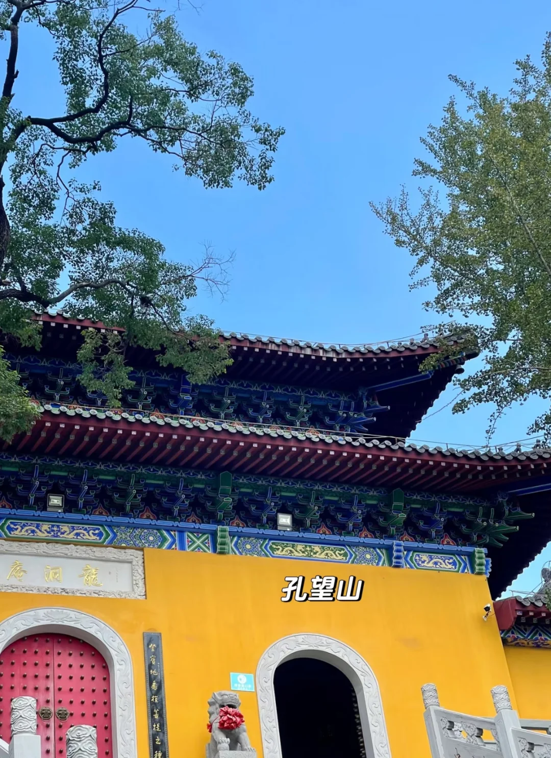 什么❗️连云港景区全免费⁉️