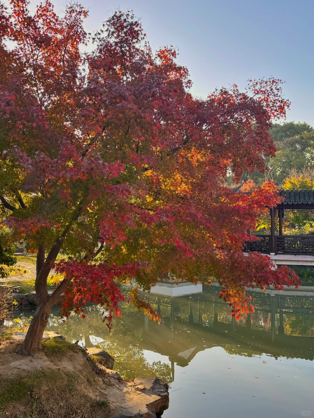 刚从苏州回来，虎丘人少📸拍照攻略快收好！