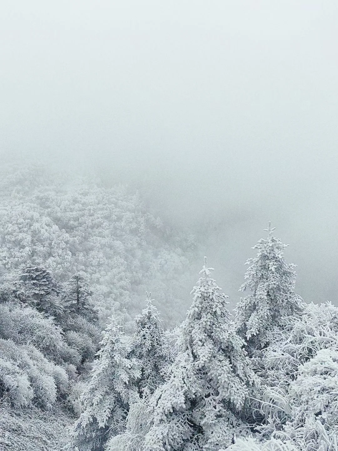 享受冬天计划｜成都附近玩雪合集安利一弹！