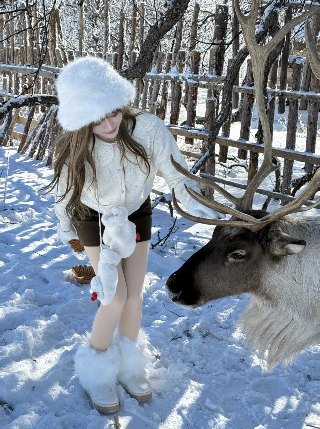 闯入冰雪森林🦌