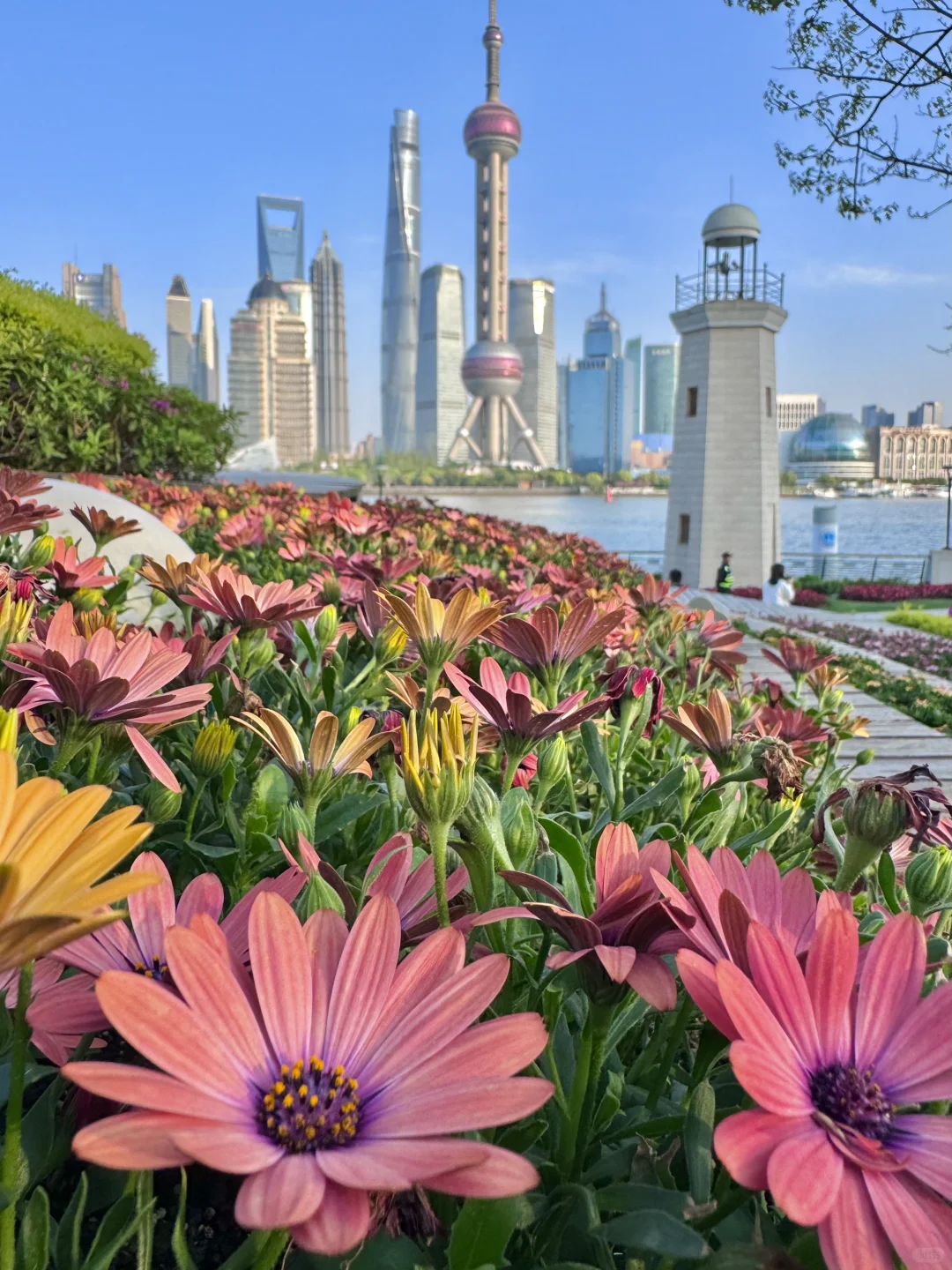 上海现状 ，12月去的姐妹尽早改行程