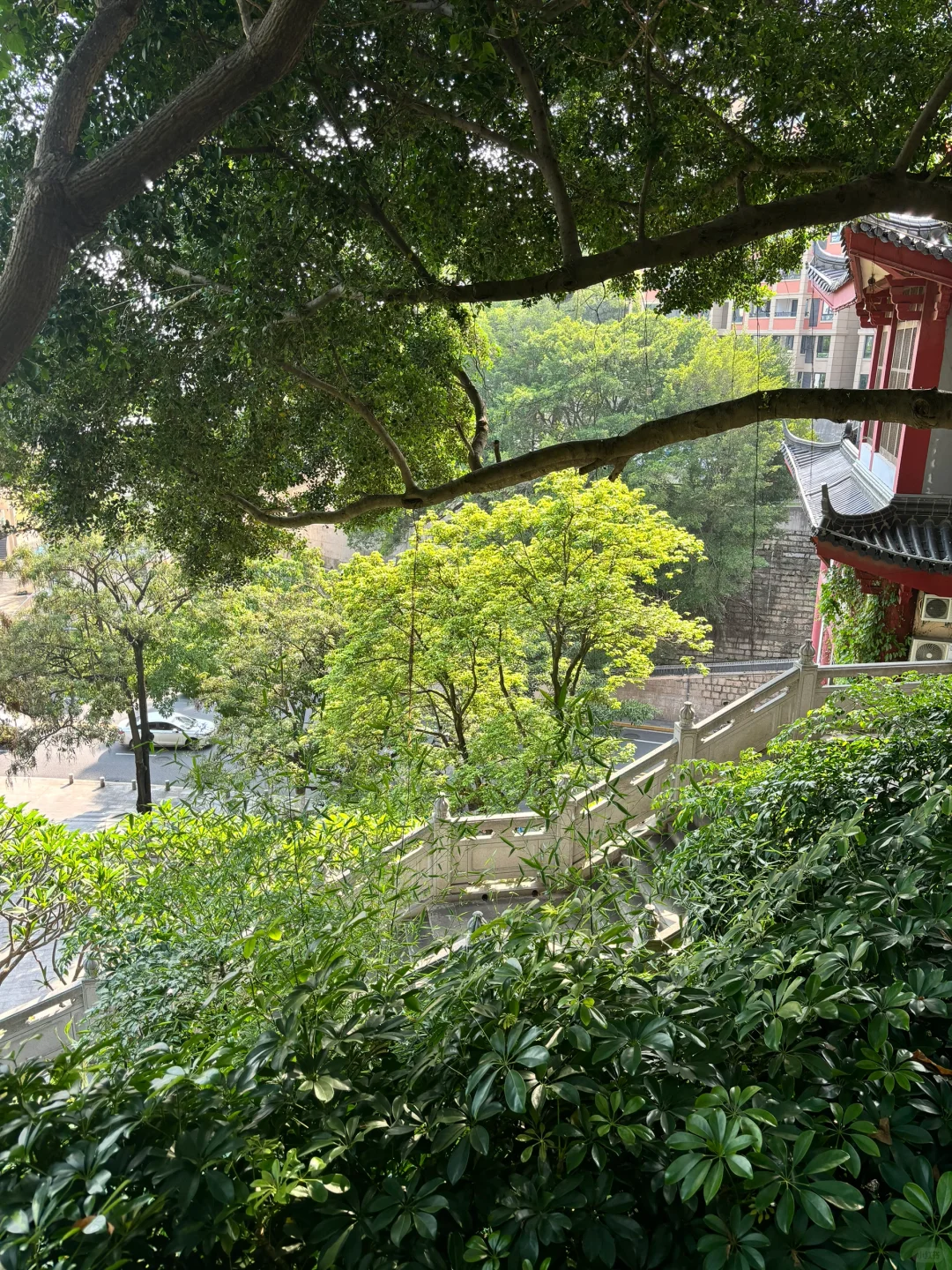 当你放弃网红景点！！！来厦门就会看到！！！！
