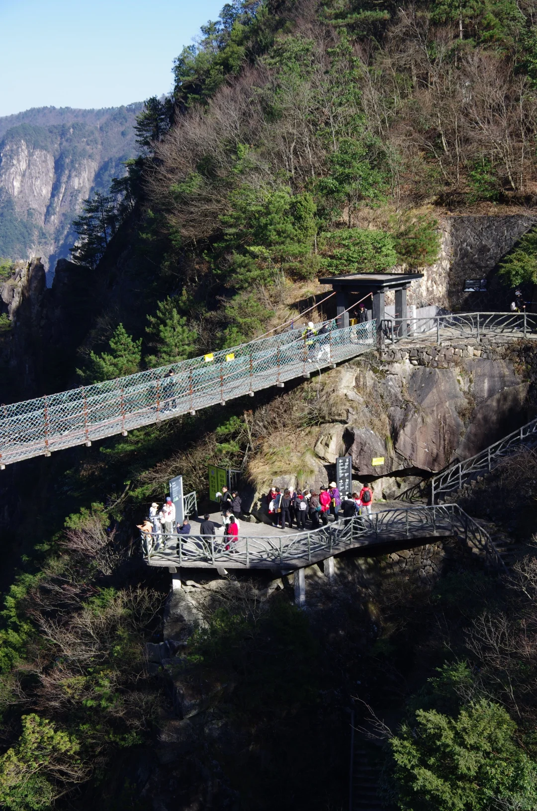 每周一山|松是迎客松 山是大明山