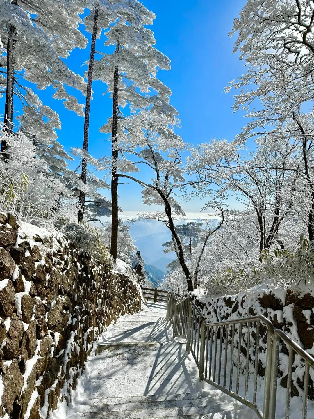 写给12-1月去黄山的姐妹👭超全避雷攻略