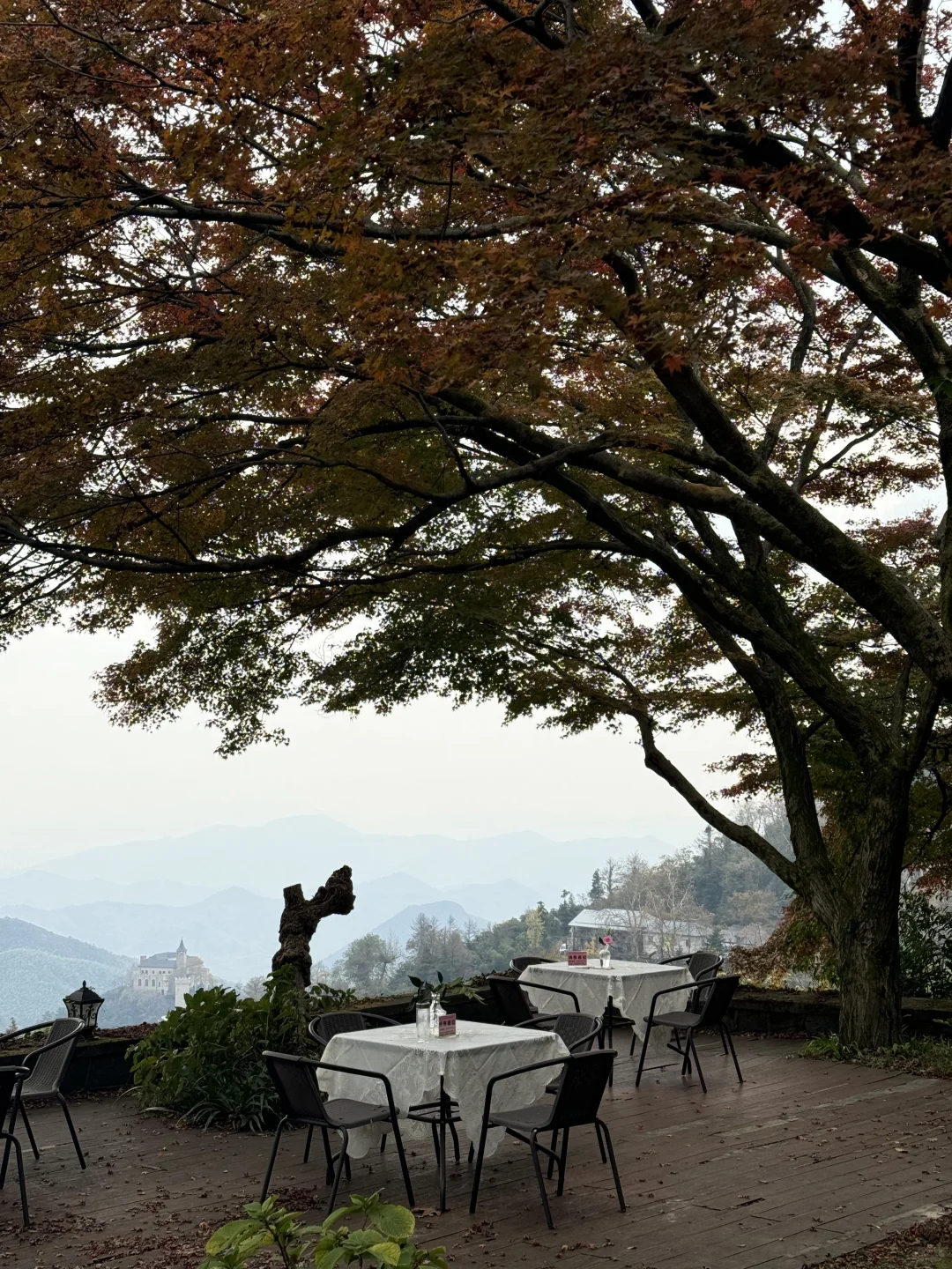 11.24实况！莫干山的秋天美疯了！（详细攻略）
