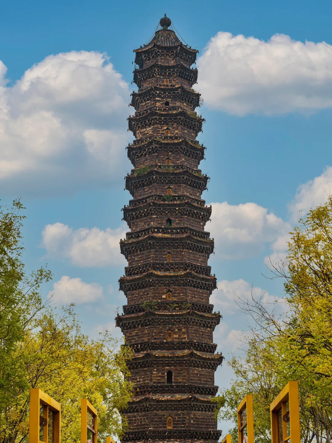 青春没有售价，开封旅游攻略拿下‼️