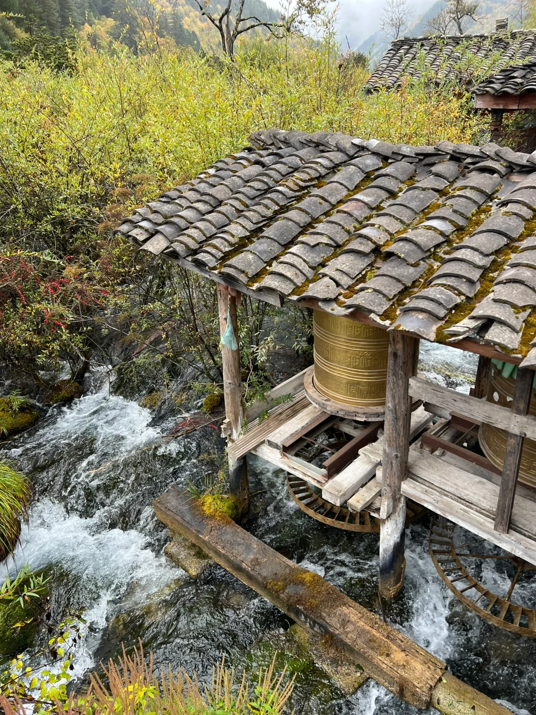 一日玩遍九寨沟，这样走就行啦