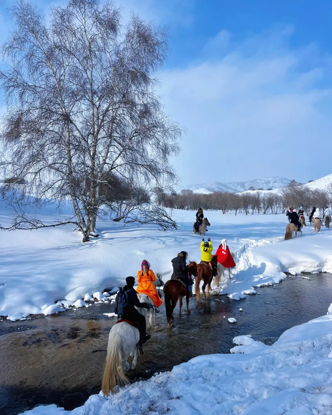 放弃哈尔滨了，高铁直达玩雪地❄先冲了‼