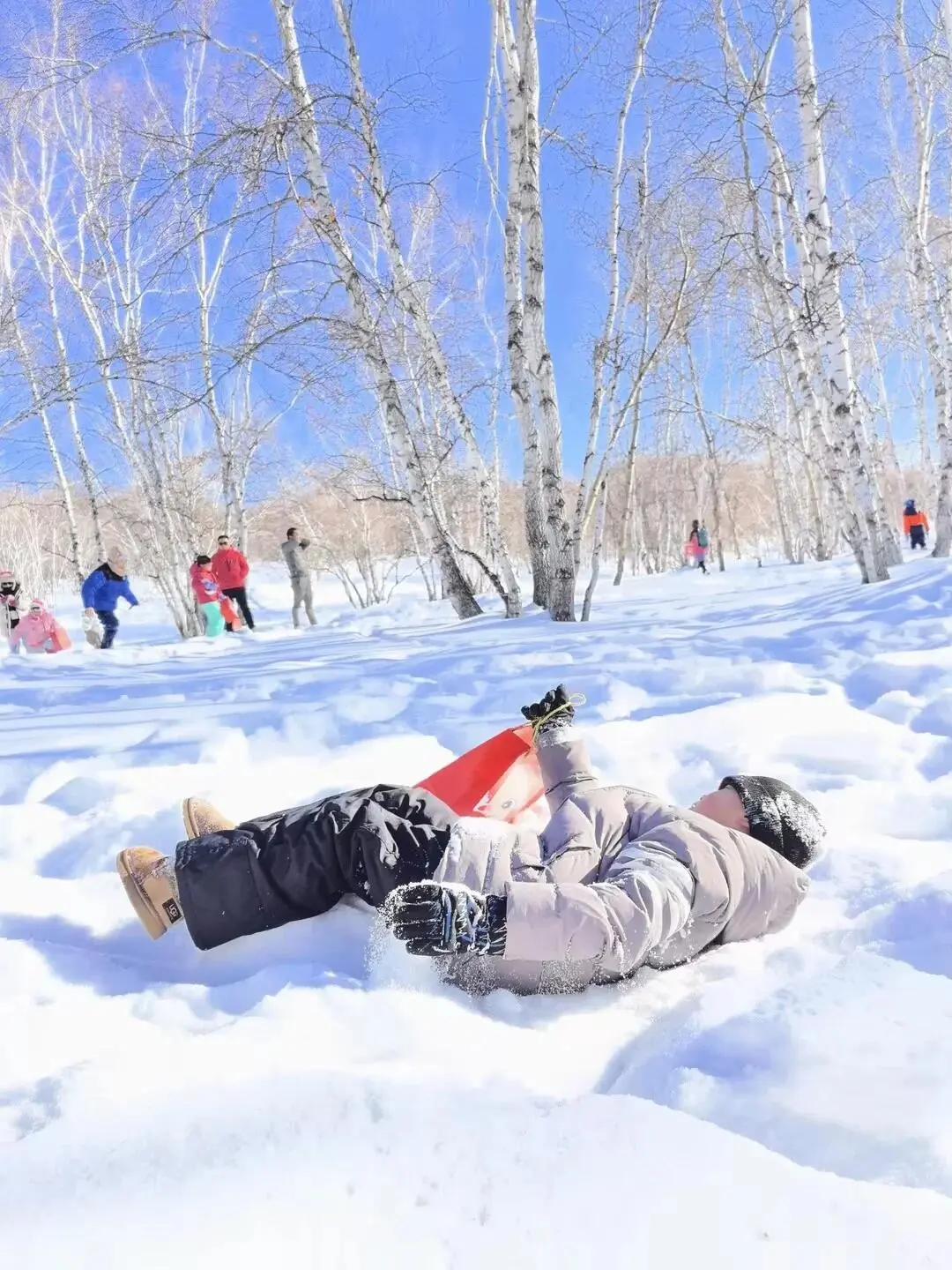 放弃哈尔滨了，高铁直达玩雪地❄先冲了‼