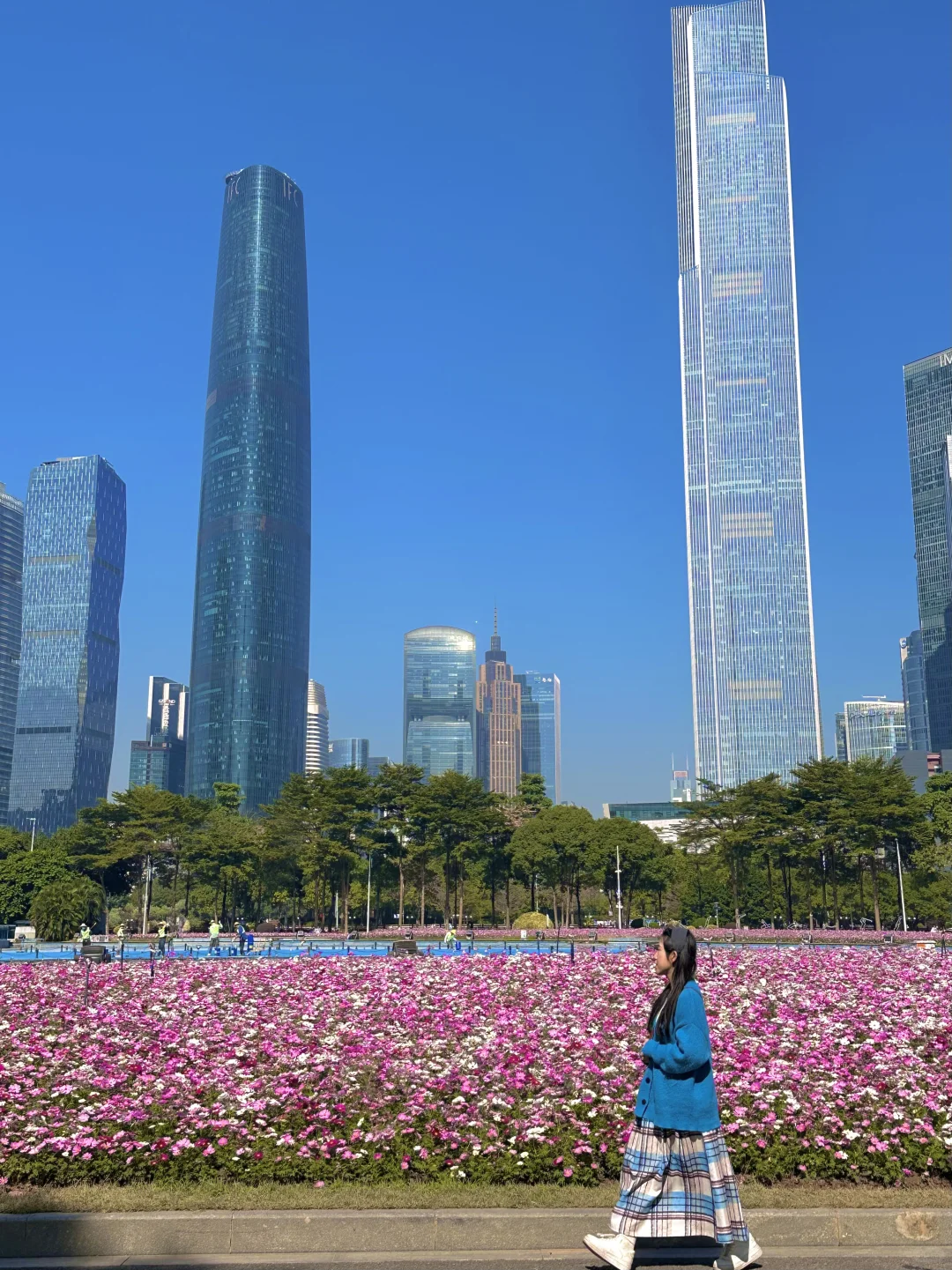 太美啦！！广州塔下的浪漫花海🌸12.1实拍