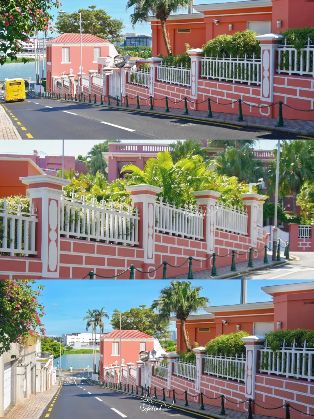 澳门citywalk🏡通往海边的童话小路（附机位