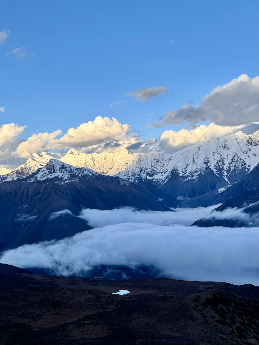 川西的雪山云海封神了