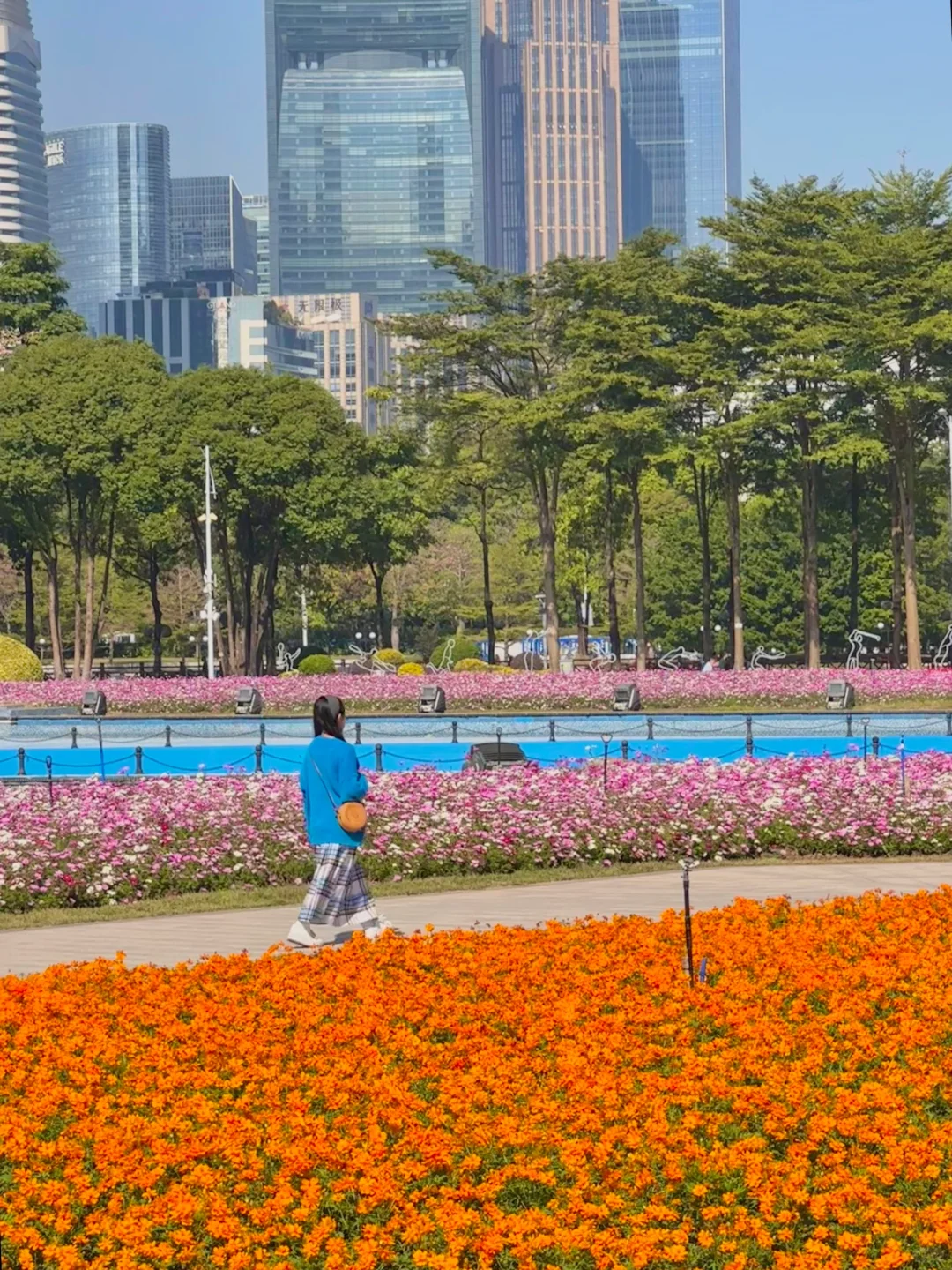 太美啦！！广州塔下的浪漫花海🌸12.1实拍