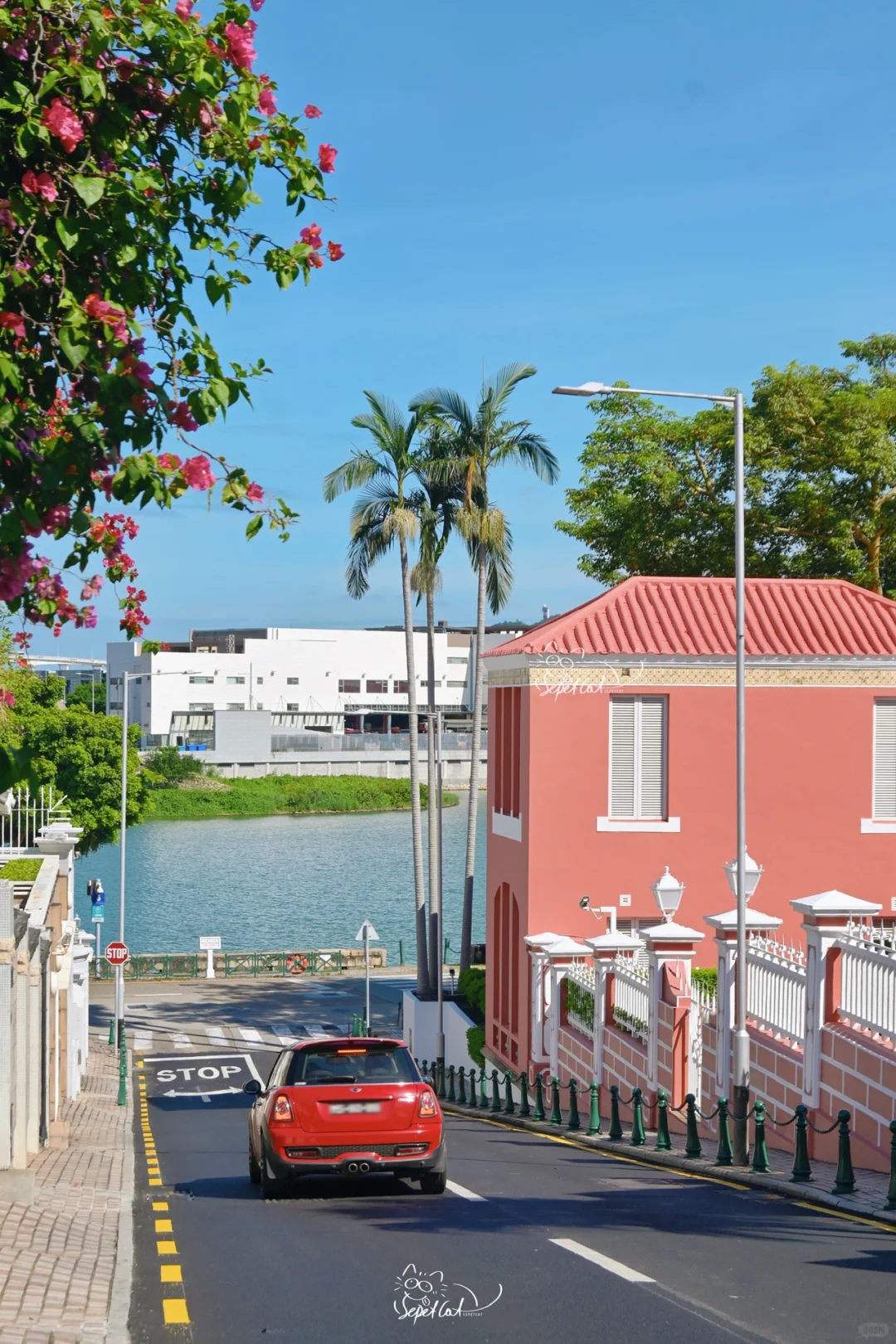 澳门citywalk🏡通往海边的童话小路（附机位