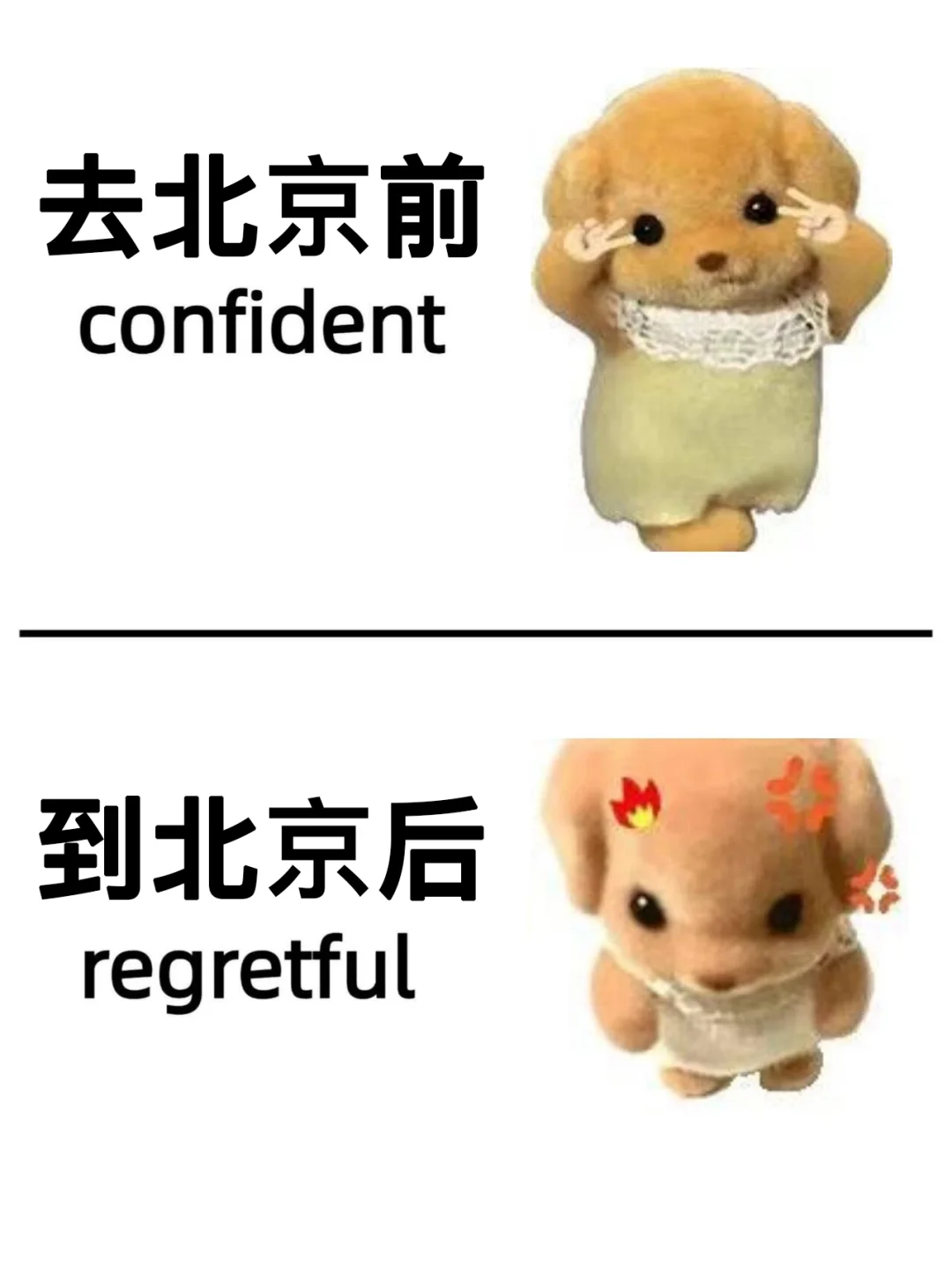 写给12月-2月去北京的姐妹👭超全避雷！！