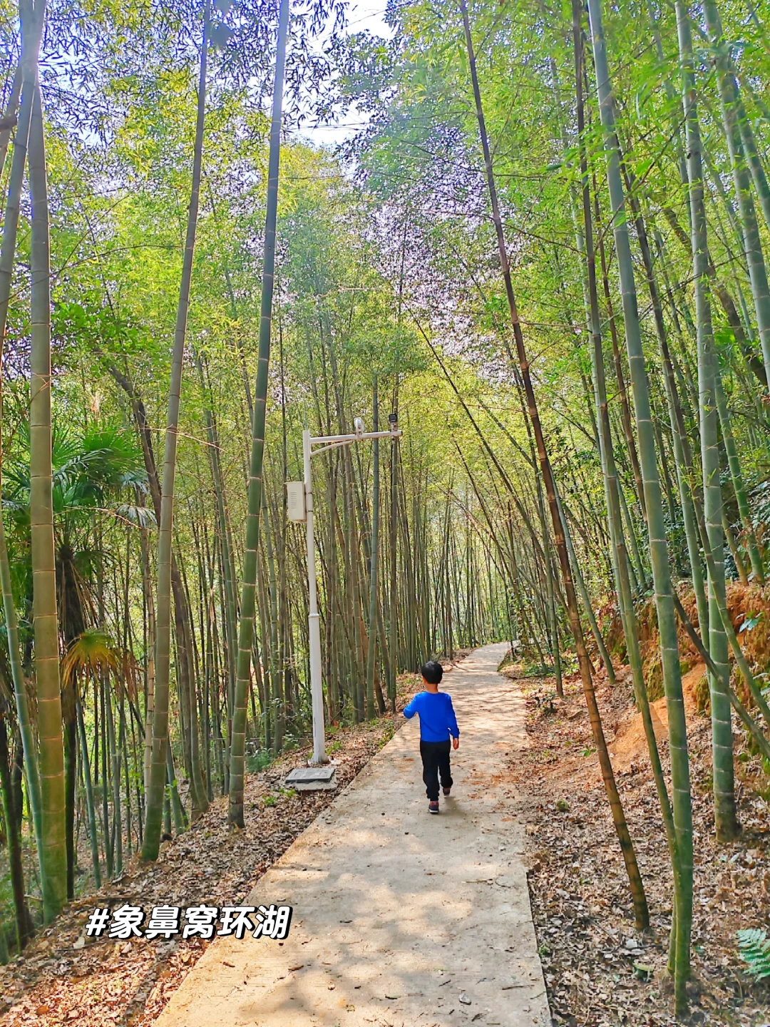 长沙17条徒步路线分享‼️建议收藏