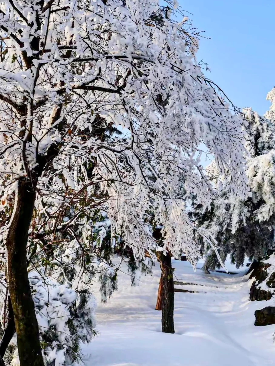 广深高铁2h直达！省时省钱的电梯雪山：郴州