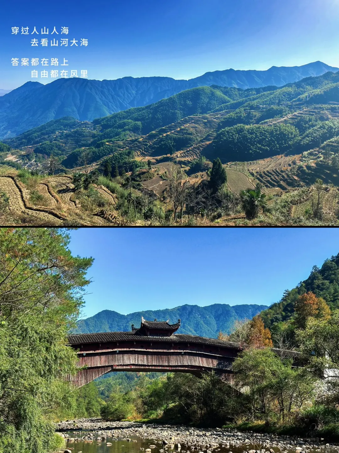 🌾丽水 | 奔赴一场藏在山间的诗梦