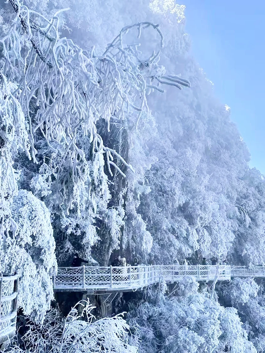 广深高铁2h直达！省时省钱的电梯雪山：郴州