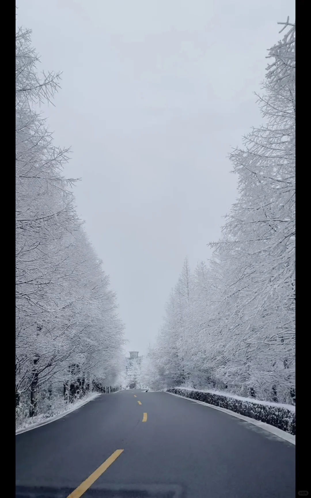 仙女山雪季正确✅游玩顺序