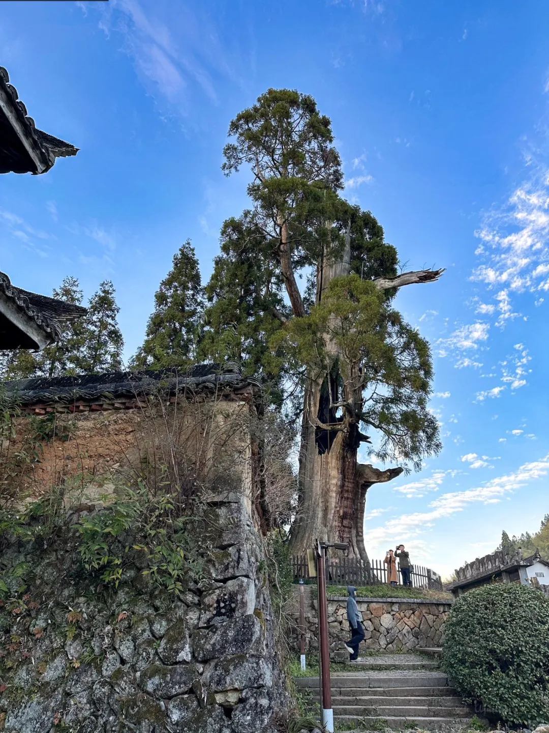 🌾丽水 | 奔赴一场藏在山间的诗梦