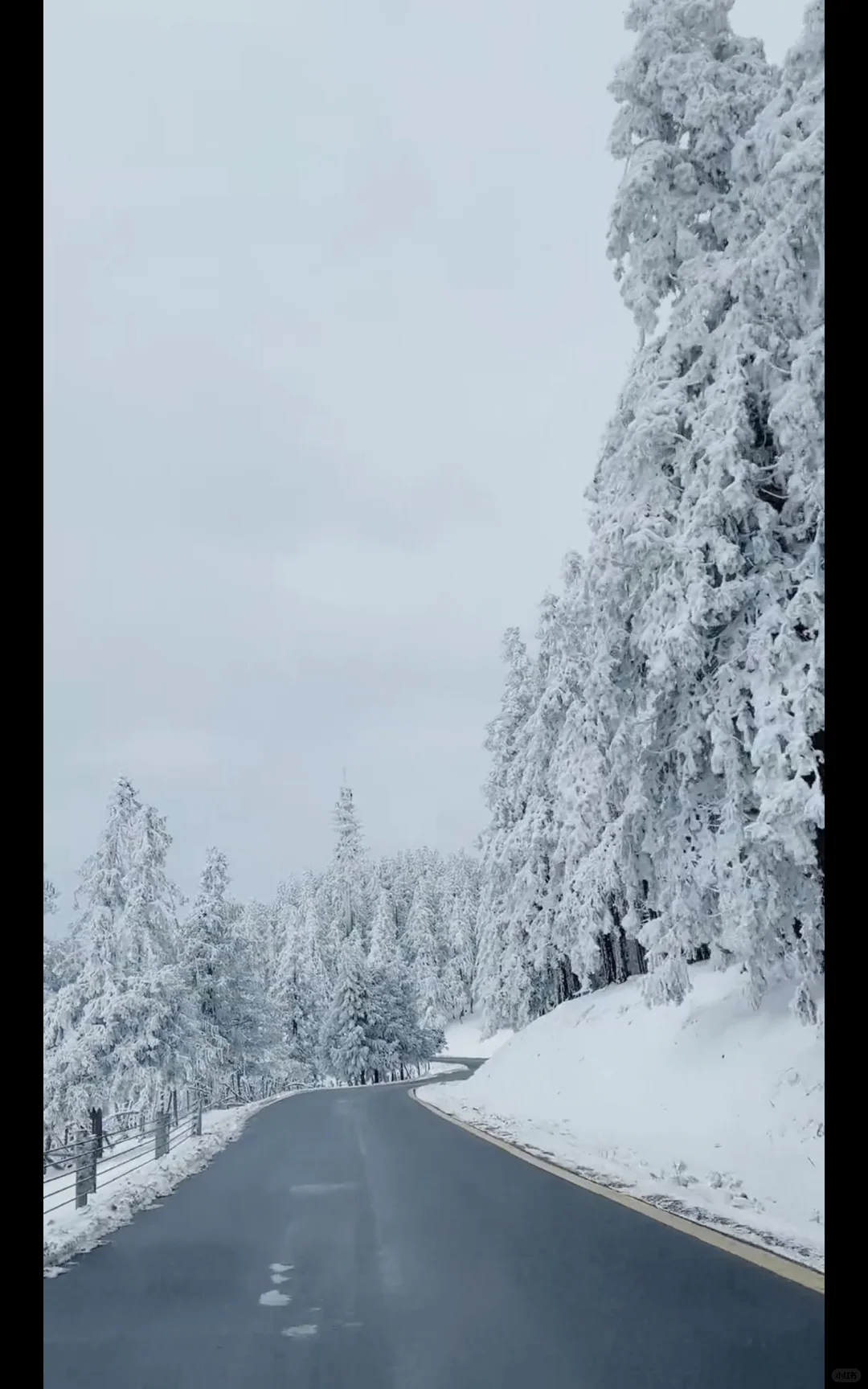 仙女山雪季正确✅游玩顺序