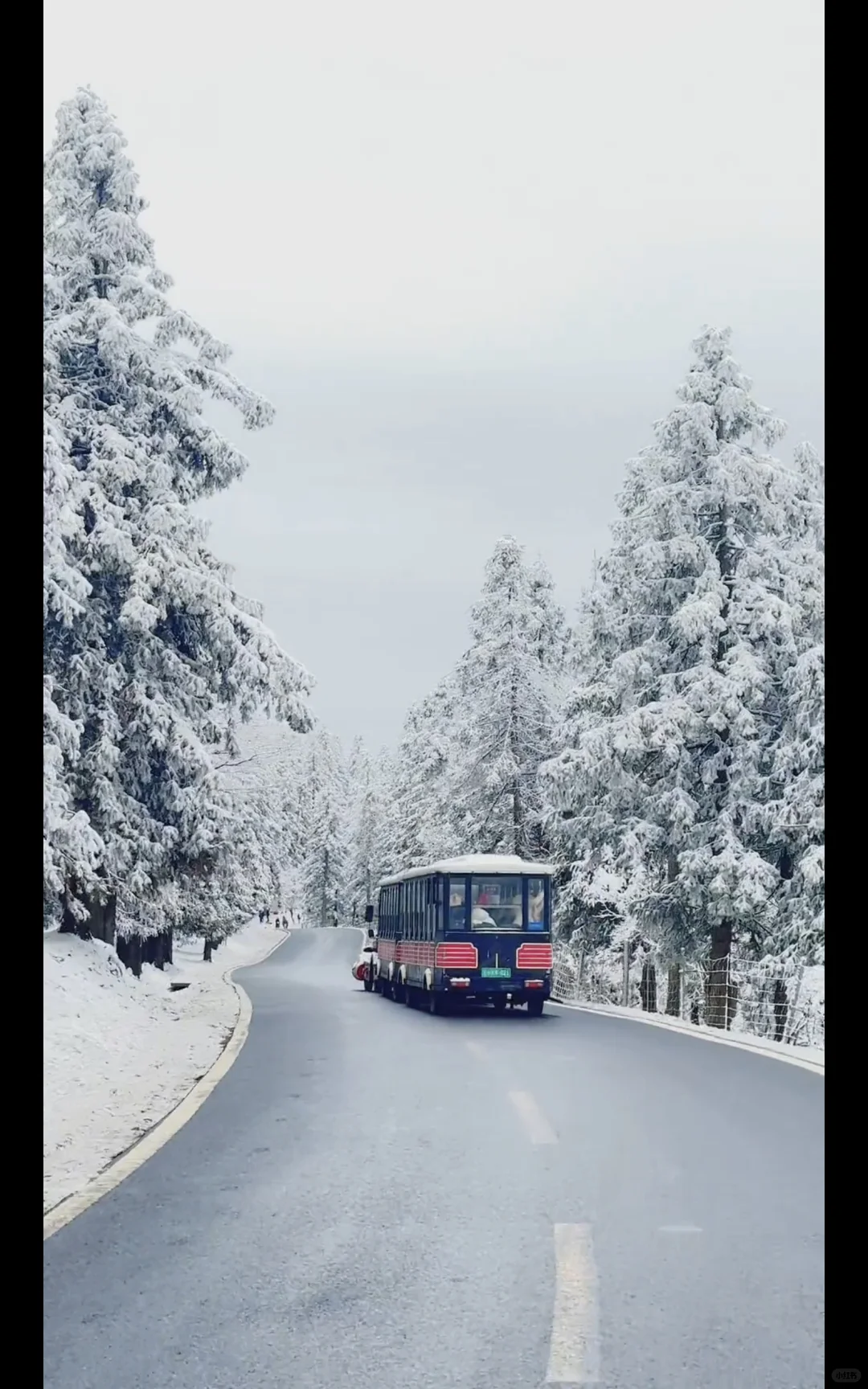 仙女山雪季正确✅游玩顺序