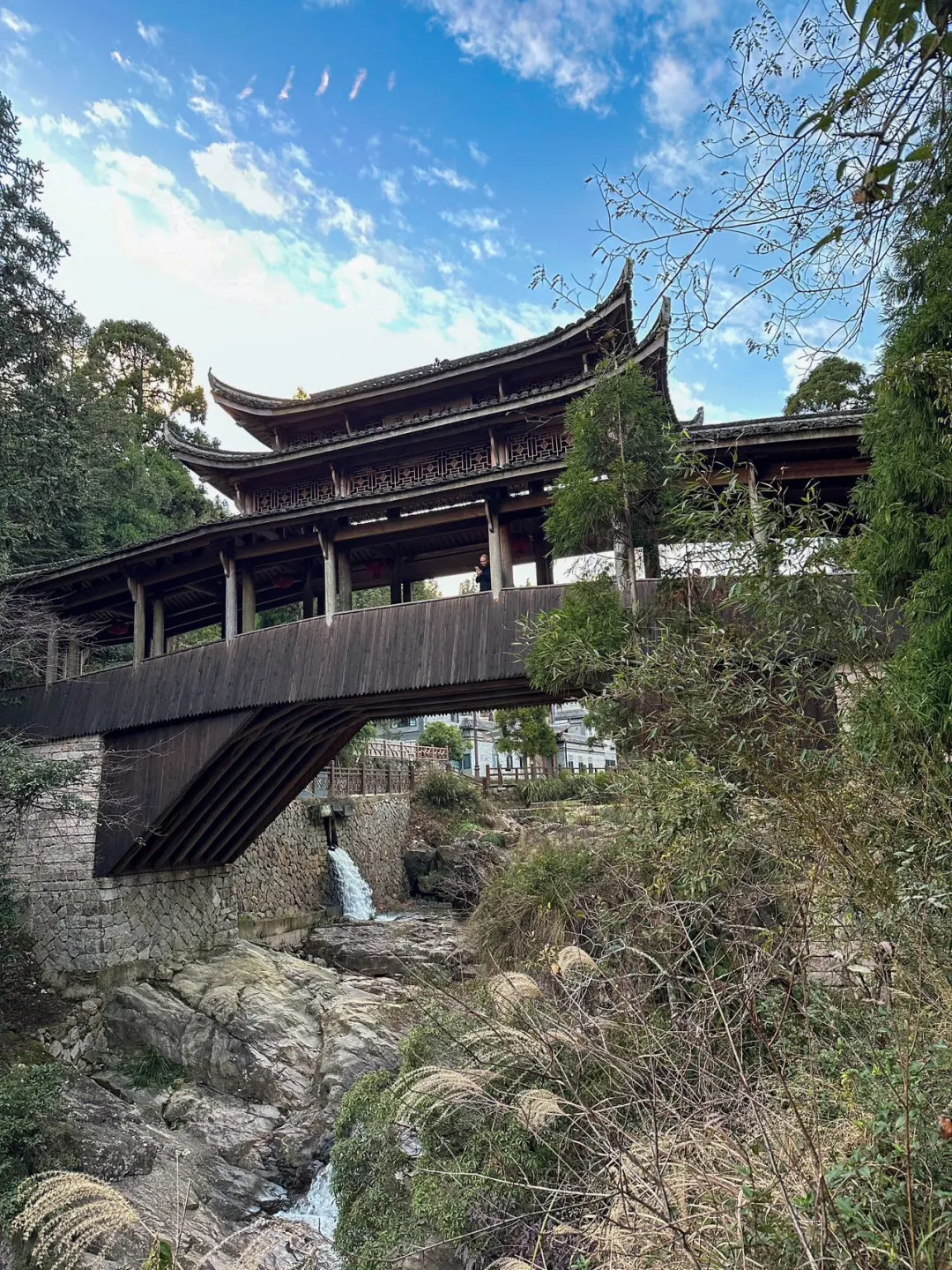 🌾丽水 | 奔赴一场藏在山间的诗梦