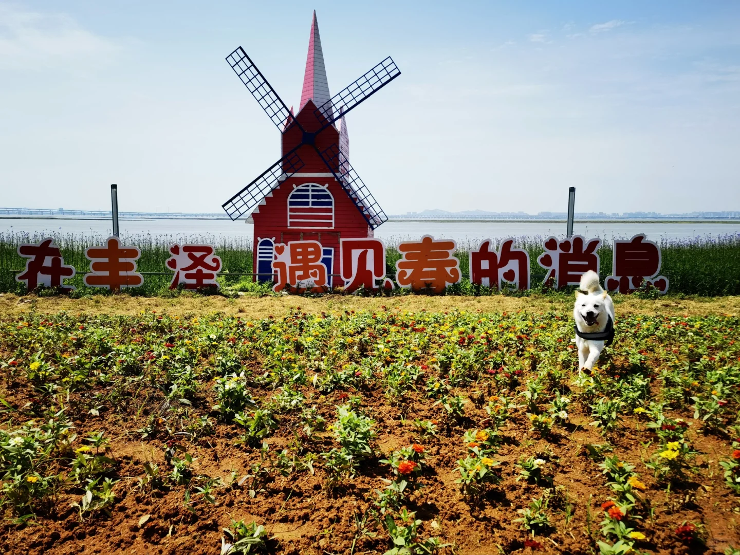 福建省旅游攻略
